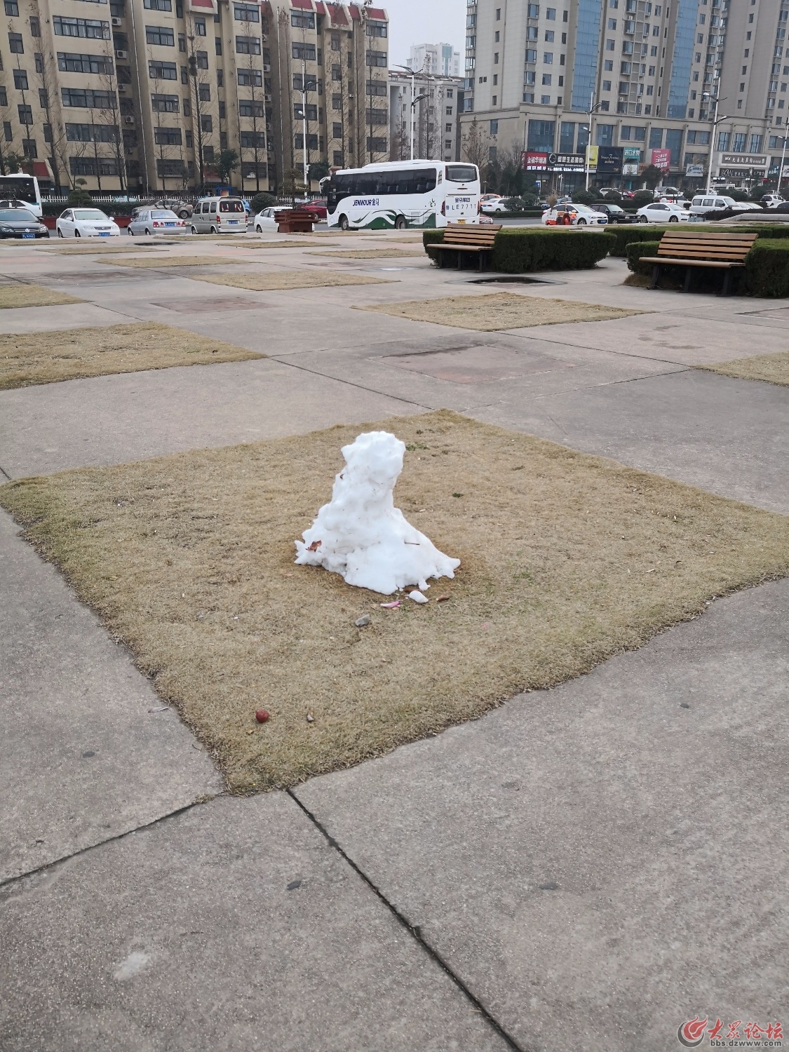 誰家雪白的狗？