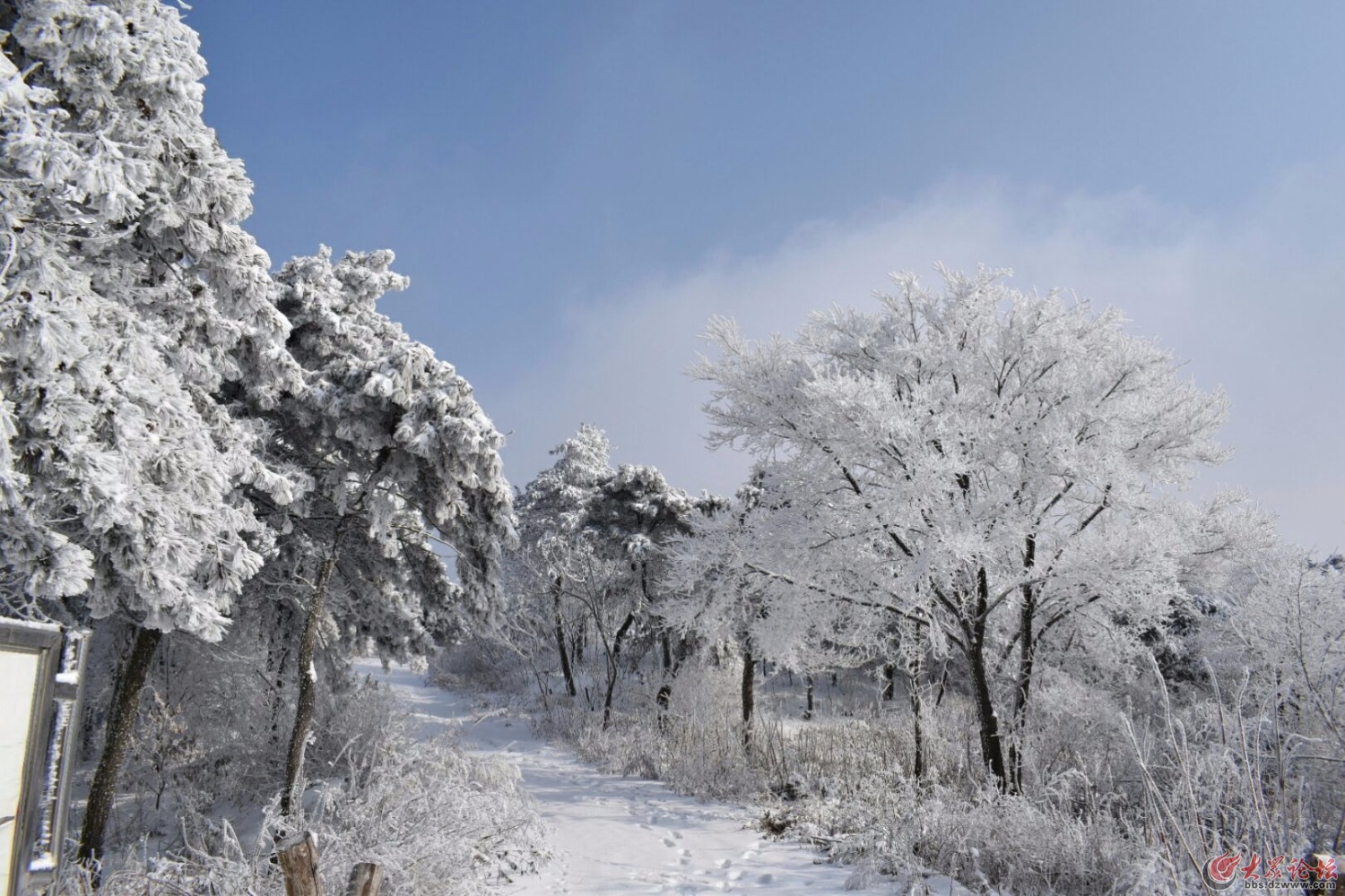 雪后登魯山