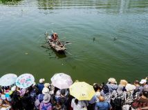 南陽湖魚鷹捕魚表演