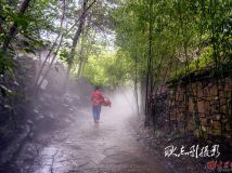 雨霧竹泉女