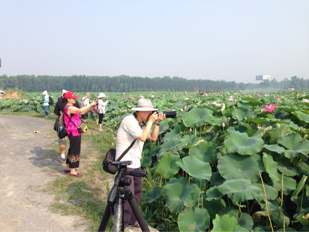 【第30期】章丘呂家、香草園模特外拍采風(fēng)召集令